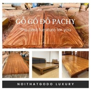 gỗ gõ đỏ pachyloba
